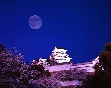 Himeji Castle and Moon, Hyogo, Japan