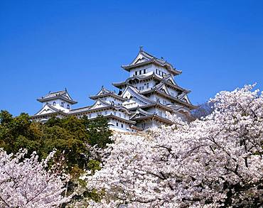 Himeji Castle, Hyogo, Japan