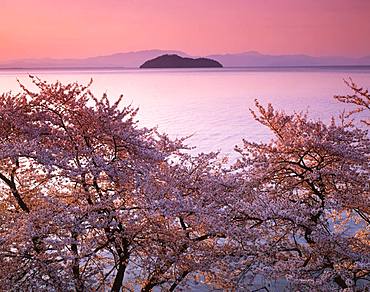 Kaizu Osaki, Shiga Prefecture