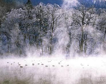 Furano City, Hokkaido