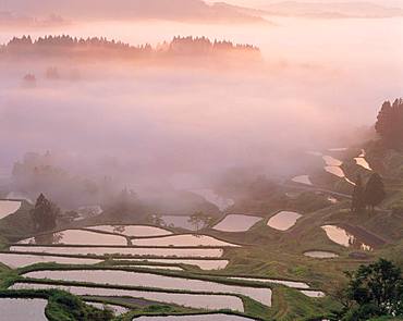 Matsudai Rice Field, Niigata Prefecture