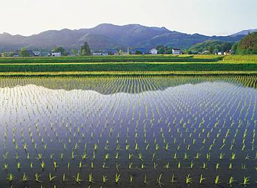 Atsushiokano Forest, Fukushima Prefecture