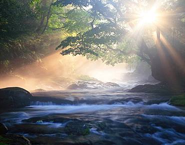 Kikuchi Ravine, Kumamoto Prefecture