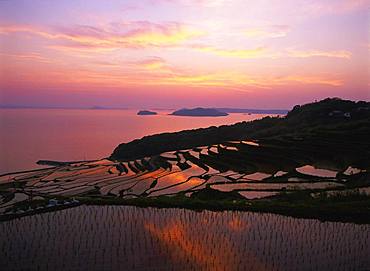 Terraced Rice Field, Tsuchida, Nagasaki Prefecture