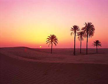 Sahara Desert, Tunisia