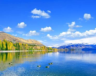 Lake Wanaka, New Zealand