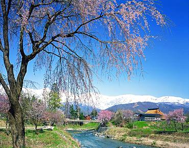 Hakuba Village, Nagano Prefecture