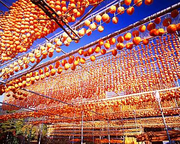 Koshu, Yamanashi Prefecture