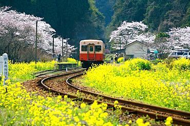 Ichihara City, Chiba Prefecture