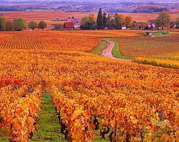 Burgundy, France