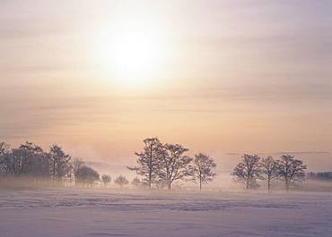 Shibetsu Town, Hokkaido