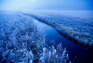 Morning, Large Frost, Gunma Prefecture