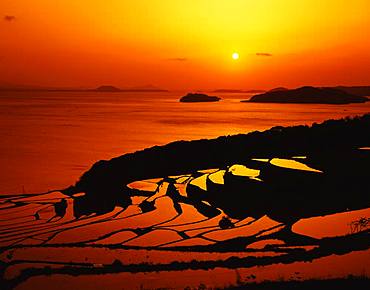 Terraced Rice Field, Tsuchida, Nagasaki Prefecture