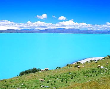 Lake Pukaki, New Zealand