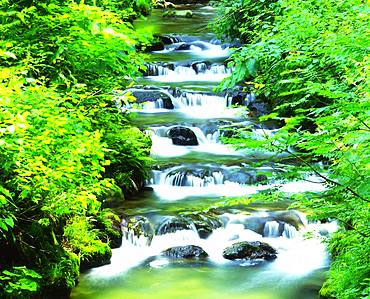 Clear Stream, Niigata Prefecture