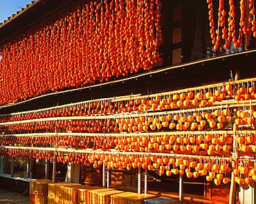 Dried Persimmon, Yamanashi Prefecture