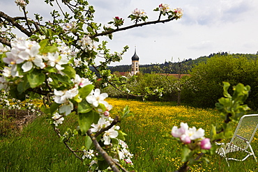 View of Oberschonenfeld Abbey and field in Augsburg, Bavaria, Germany