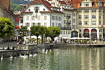 View of tourits on promenade and swans in Reuss river in Lucerne, Switzerland