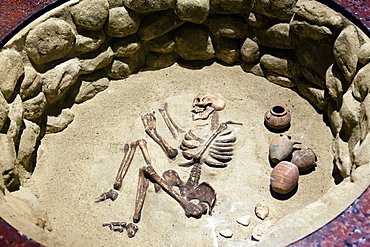 View of skeleton in Nubia Museum at Aswan, Egypt