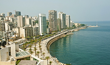 View of Corniche El-Manara skyline at waterfront with palm trees, Beirut, Lebanon