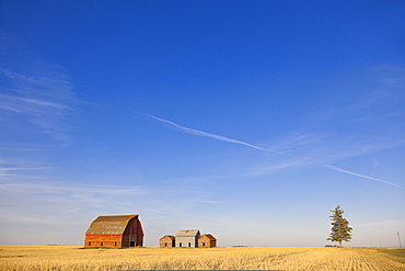 View of farmer's house, Saskatchewan, Canada