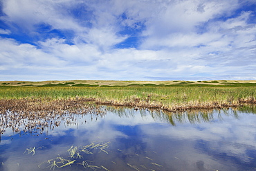 View of marshy land, Prince Edward Island, Greenwich, Canada