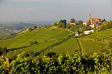 View of wine landscape over the Belbo valley in Piedmont, Italy