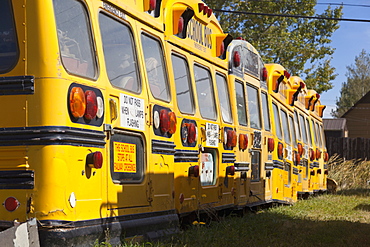 View of parked school buses, Saskatchewan, Canada