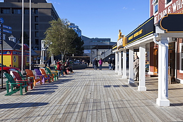 Halifax, web, Murphy's, and chairs on the pavement, Nova Scotia, Canada