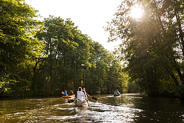 People kayaking in lake Ratzeburg, Wakenitzrestaurant, Schleswig Holstein, Germany