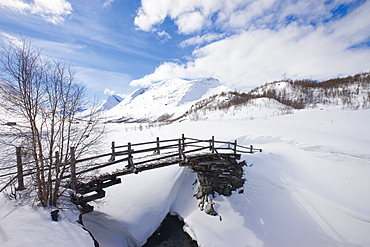 View of winter landscape with bare tree, Norway