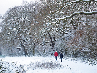 Hampstead Heath in snow, London, England, United Kingdom, Europe