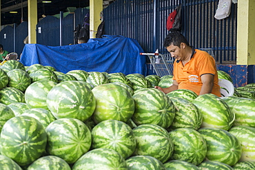 Watermelon seller, Manaus, Amazonas, Brazil, South America