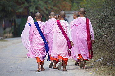 Buddhist nuns in traditional robes, Sagaing, Myanmar (Burma), Southeast Asia