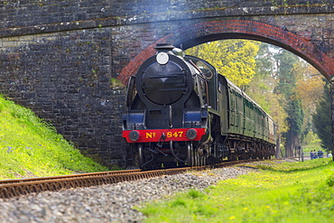 Bluebell Railway, West Sussex, England, United Kingdom, Europe