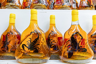 Scorpion and snake brandy for sale in Vietnam, Hanoi, Vietnam, Indochina, Southeast Asia, Asia