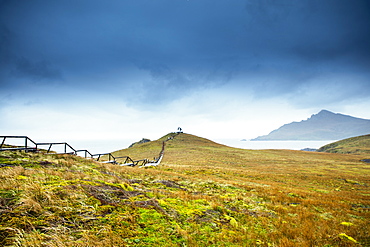 Cape Horn at the far southern end of South America, in the islands of Cape Horn National Park, Patagonia, Chile, South America