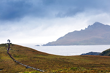 Cape Horn at the far southern end of South America, in the islands of Cape Horn National Park, Patagonia, Chile, South America