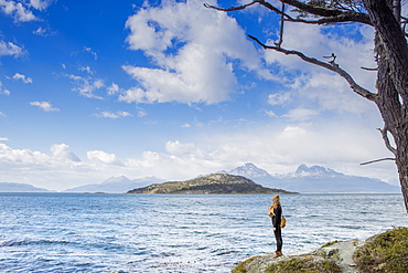 Woman looking out over the Magellan Straits and Darwin Mountain range in Tierra del Fuego National Park, Argentina, South America