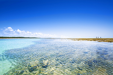 Patacho Beach, Sao Miguel dos Milagres, Alagoas, Brazil, South America