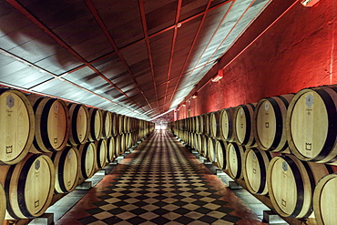 Wine barrels in the cellars of the Reynolds winery and vineyard near Arronches, Alentejo, Portugal, Europe