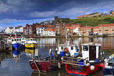 View of fishing boats in the harbour and the town centre, Whitby, Yorkshire, England, United Kingdom, Europe