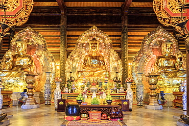 Gia Sinh, Buddhas inside a pagoda at Bai Dinh Mahayana Buddhist Temple near Tam Coc, Ninh Binh, Vietnam, Indochina, Southeast Asia, Asia