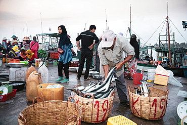 The morning fish market on the banks of the Preaek Tuek Chhu River in Kampot town, Cambodia, Indochina, Southeast Asia, Asia