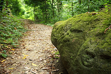 A carved petroglyph on a rock on the hiking trail to Pueblito in Tayrona National Park, Magdalena State, Colombia, South America