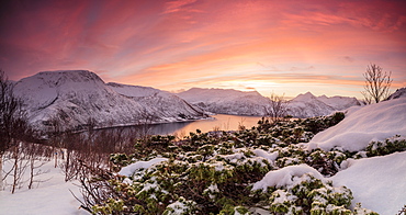 Panorama of frozen sea surrounded by snow framed by the orange sky at sunset, Torsken, Senja, Troms County, Arctic, Norway, Scandinavia, Europe