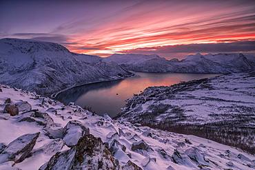 The frozen sea surrounded by snow framed by pink clouds, Arctic, Norway, Scandinavia, Europe