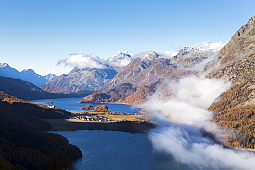 View of Sils and the blue lake surrounded by mist in autumn, Surlej, St. Moritz, Canton of Graubunden, Engadine, Switzerland, Europe