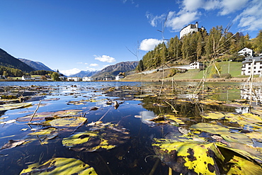 Autumn leaves in Lake Tarasp frame the old castle, Inn district, Canton of Graubunden, Engadine, Switzerland, Europe