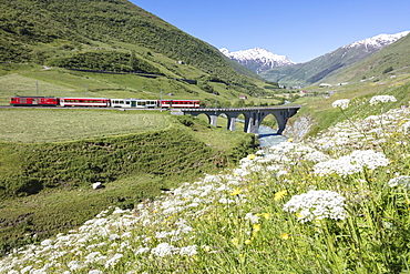 Typical red Swiss train on Hospental Viadukt surrounded by creek and blooming flowers, Andermatt, Canton of Uri, Switzerland, Europe